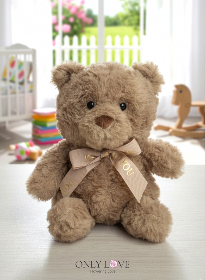 AD044 Cute Teddy Bear