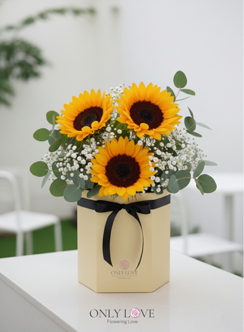 BB109 Sunflowers Flower Bloom Box