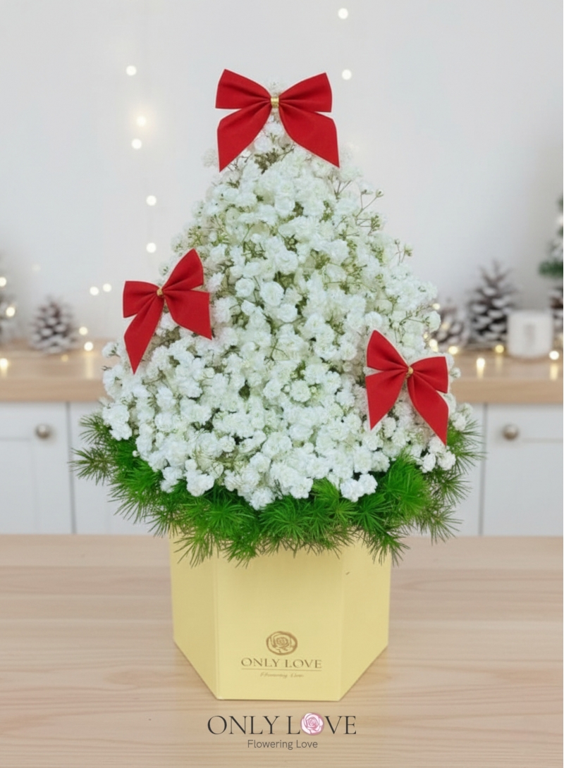 CM005 Wishing Christmas Tree Bloom Box
