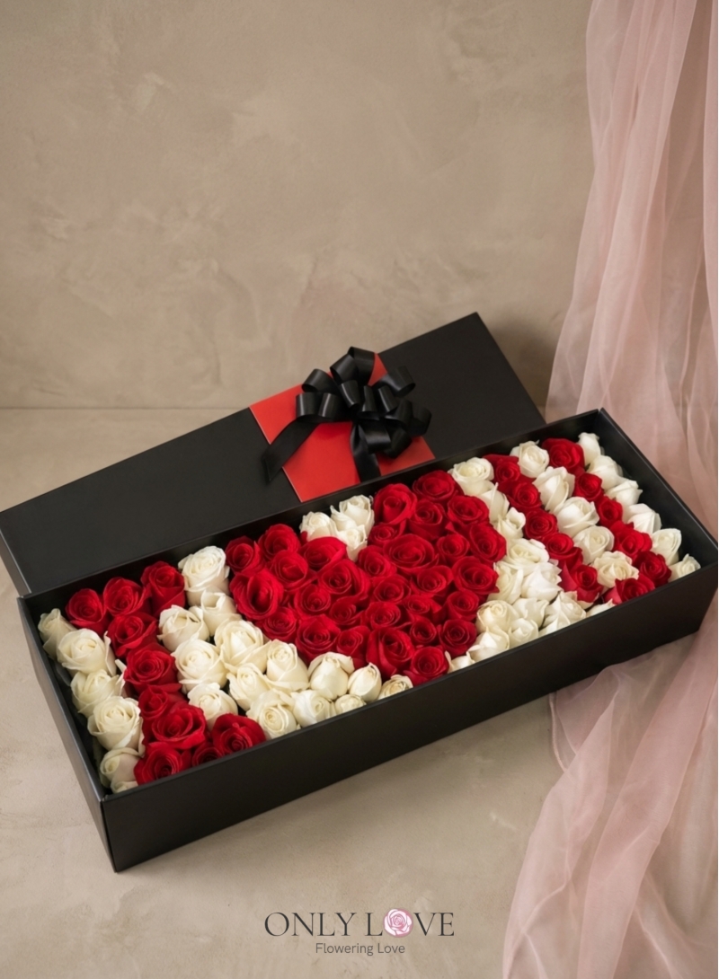 VT041 Enchanted Blush 99 Imported Roses in Box