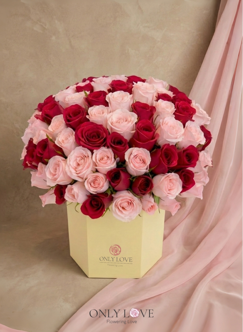 VT042 Enchanted Blush 50 or 99 Imported Roses Bloom Box