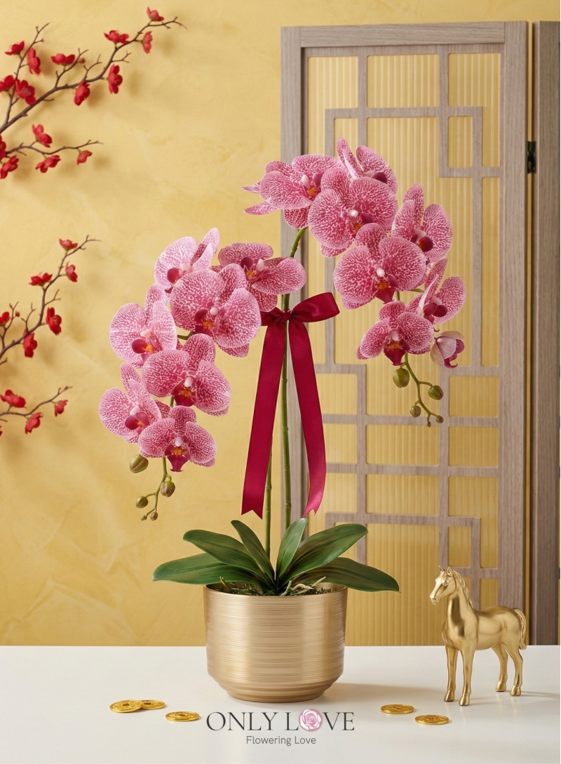 AB03 Artificial Phalaenopsis Orchids