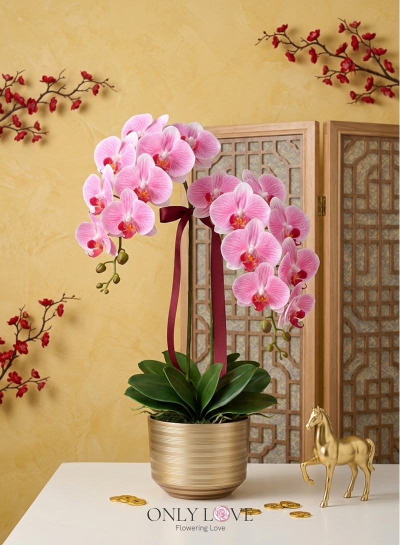 AB06 Artificial Phalaenopsis Orchids