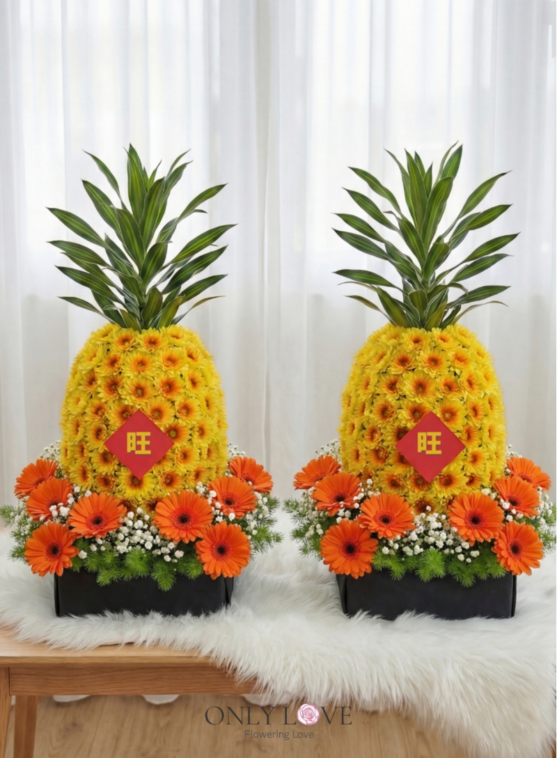 HYNC002 Prosperity Pineapple Blessing