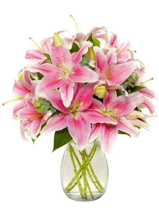 Pink Stargazer Lily in Vase
