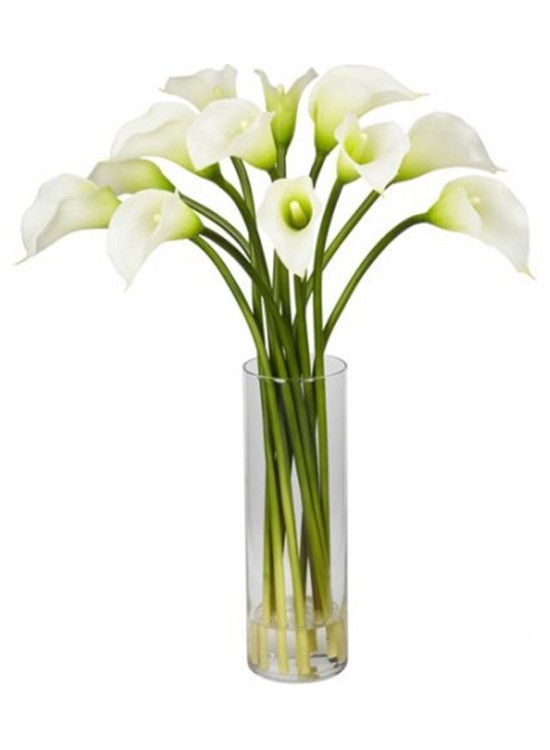 White Calla Lily in Vase
