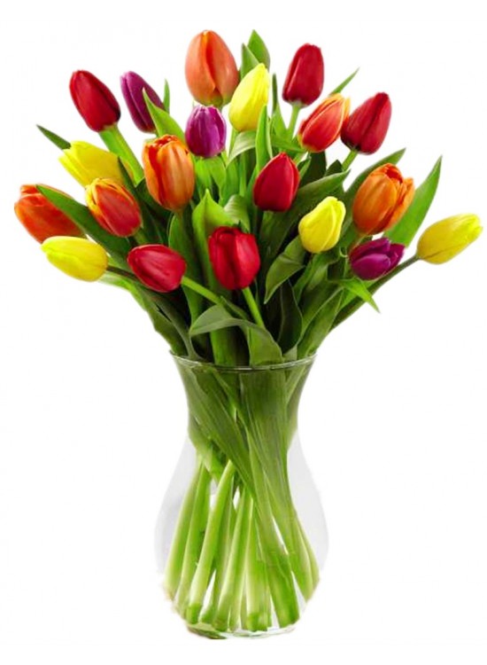 Tulip in Vase sameday flower delivery to Malaysia | Only Love Florist ...