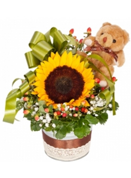 Sunflower Teddy White Vase