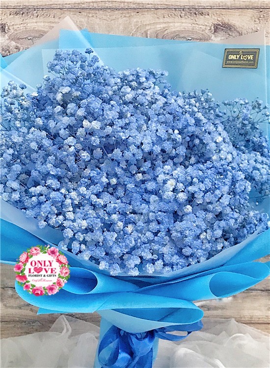 Baby Breath Flower Bouquet - BA01 Blue Baby Breath Bouquet sameday flower delivery to ... : By legend love flower · updated about 4 years ago.