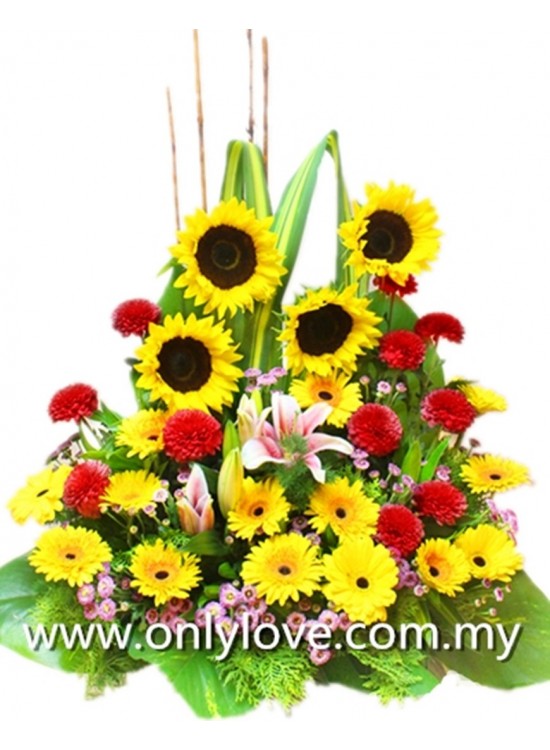 B37 Flower Basket