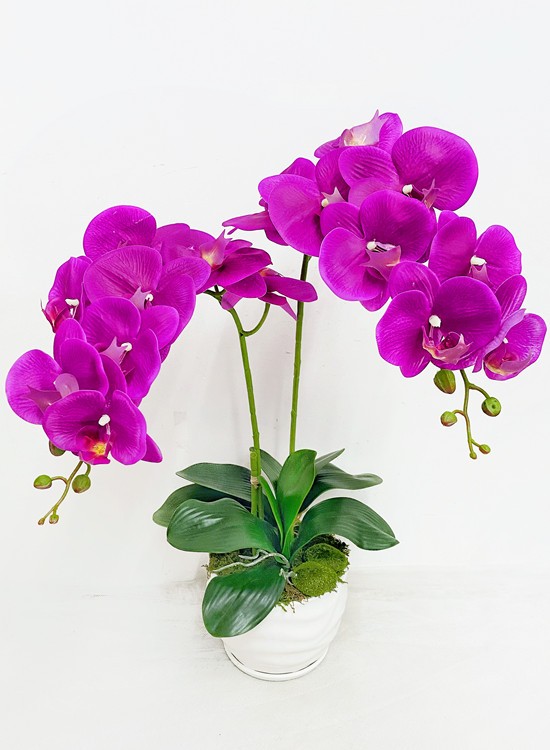 AB15 Artificial Orchid Flowers