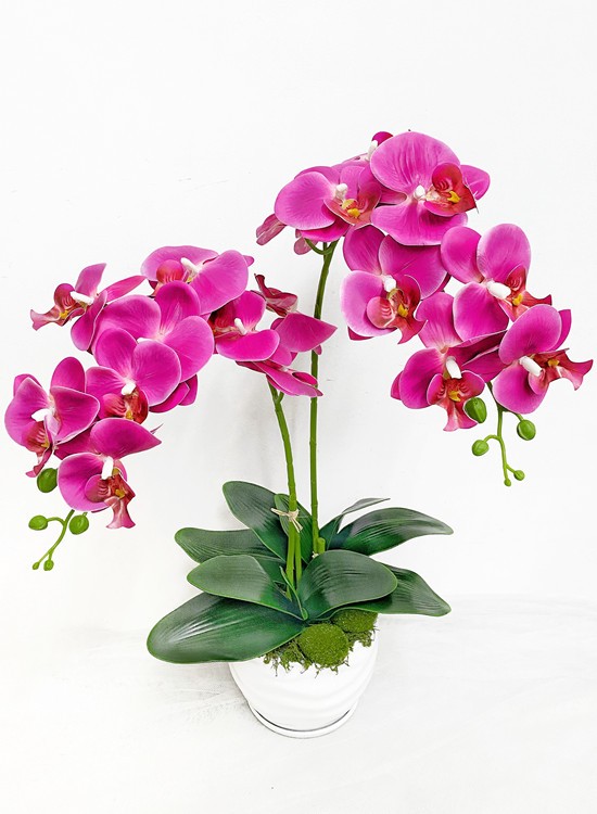 AB16 Artificial Phalaenopsis Orchids