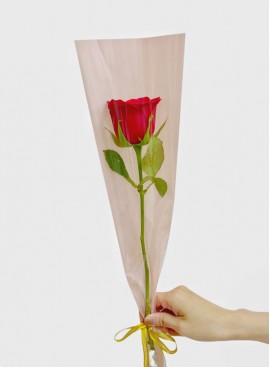 How to wrap a Korean-Style Single Rose Bouquet 