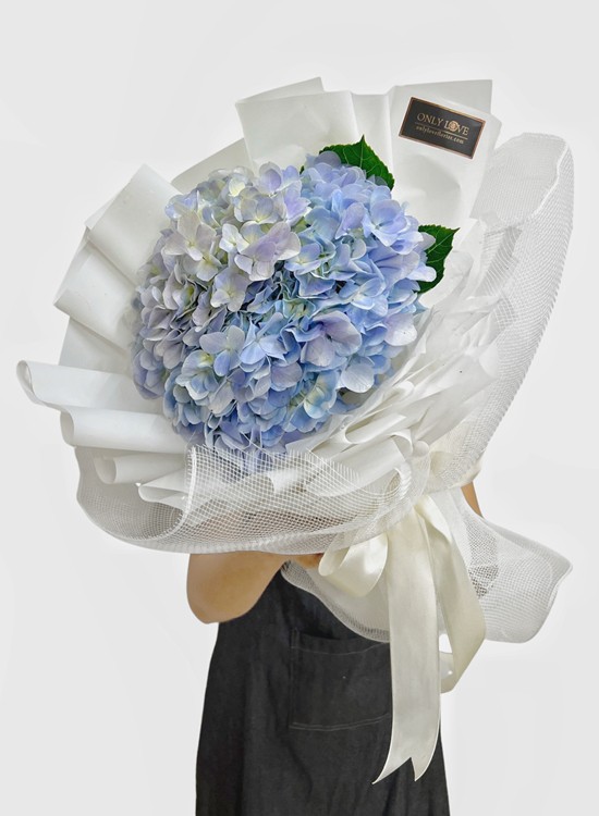 HGB007 Hydrangea Bouquet