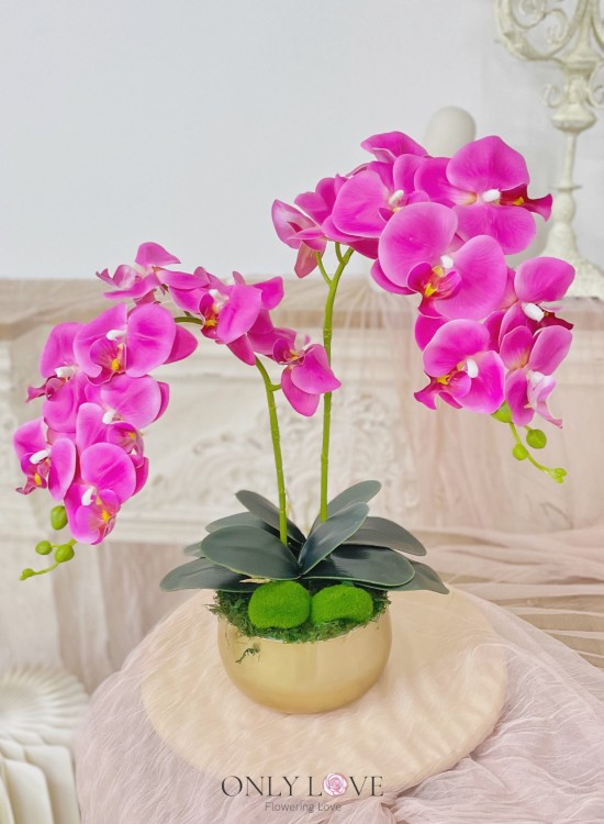 AB16 Artificial Phalaenopsis Orchids