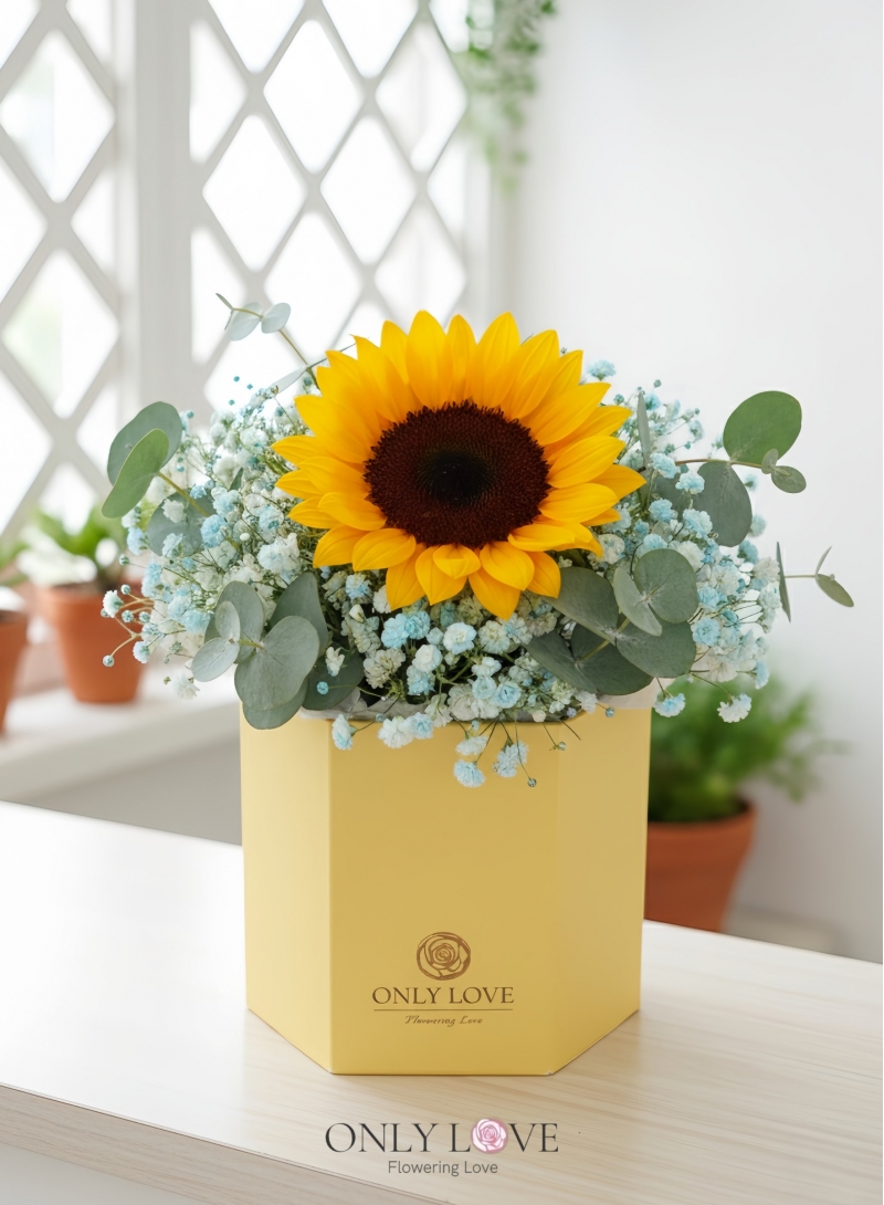 BB075 Sunflower Bloom Box