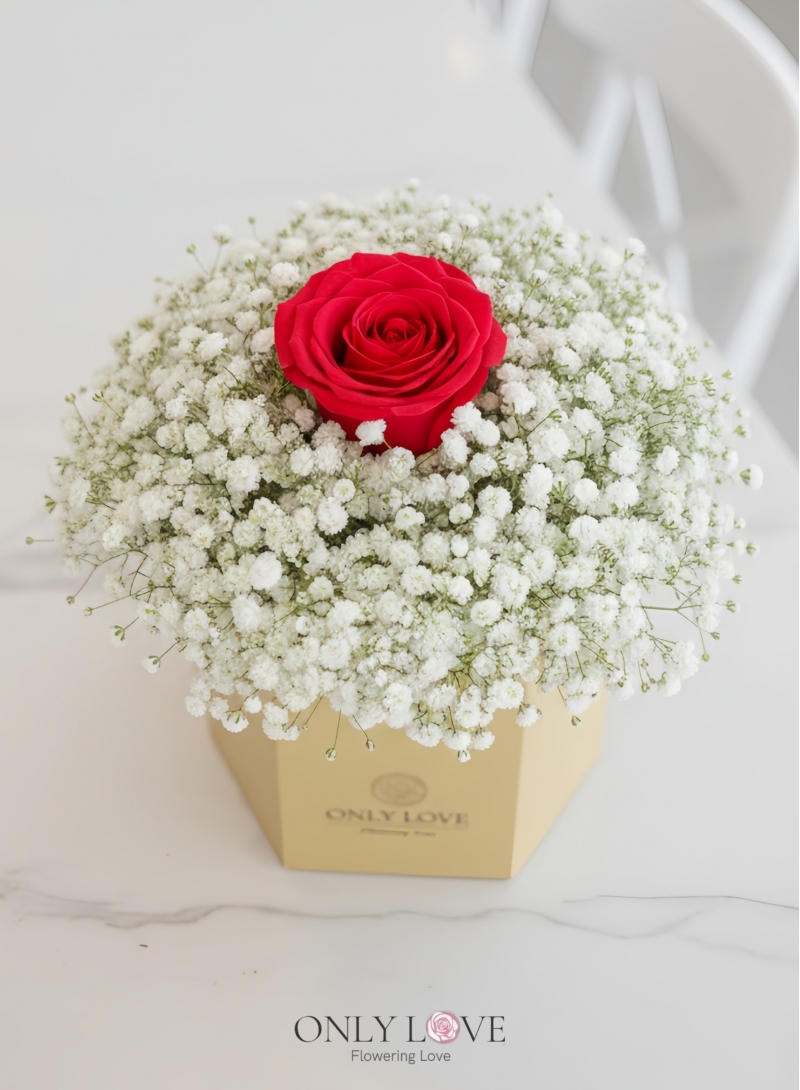 BB044 Flower Bloom Box