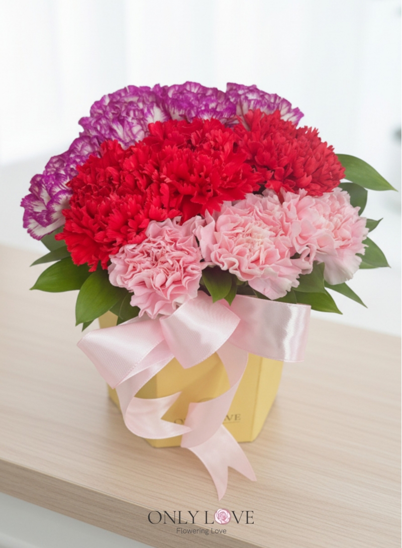 MD034 Carnation Flowers