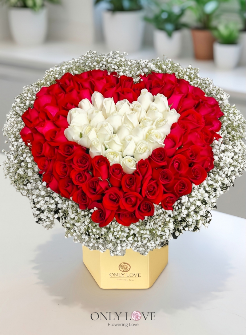 BB050 50 or 99 Roses Classic Elegance Bloom Box