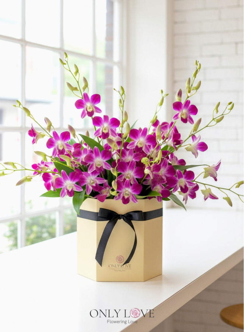 BB108 Dendrobium Orchids Flower Bloom Box