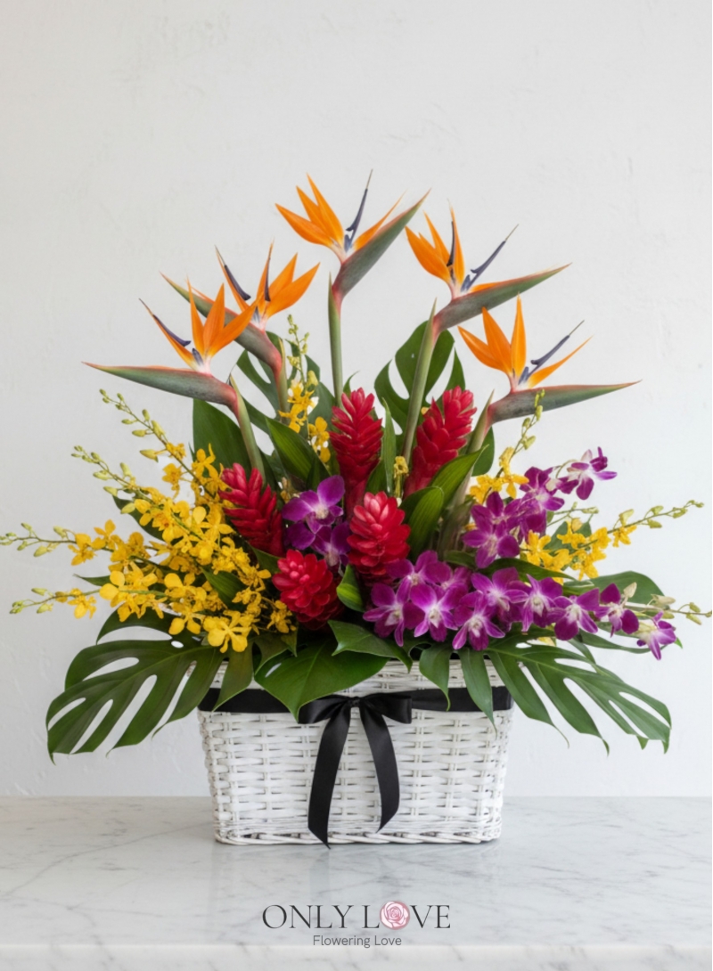 B02 Tropika Orchids Flower Basket