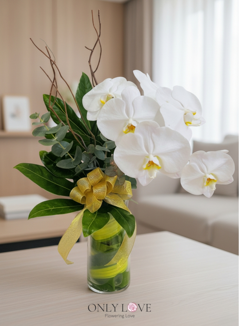 V28 Phalaenopsis in Vase (Fresh Cut)
