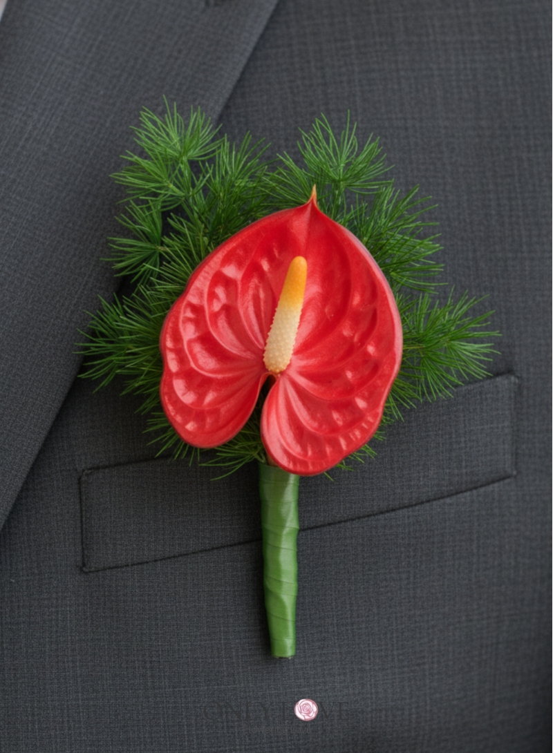 CB015 Anthurium Corsages Boutonniere