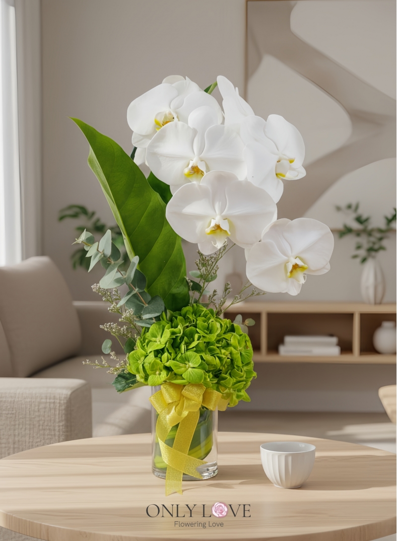 V30 Phalaenopsis in Vase (Fresh Cut)