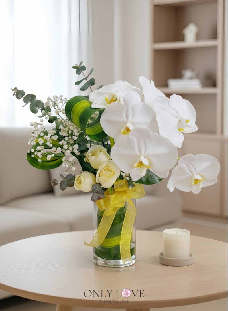 V32 Phalaenopsis in Vase (Fresh Cut)
