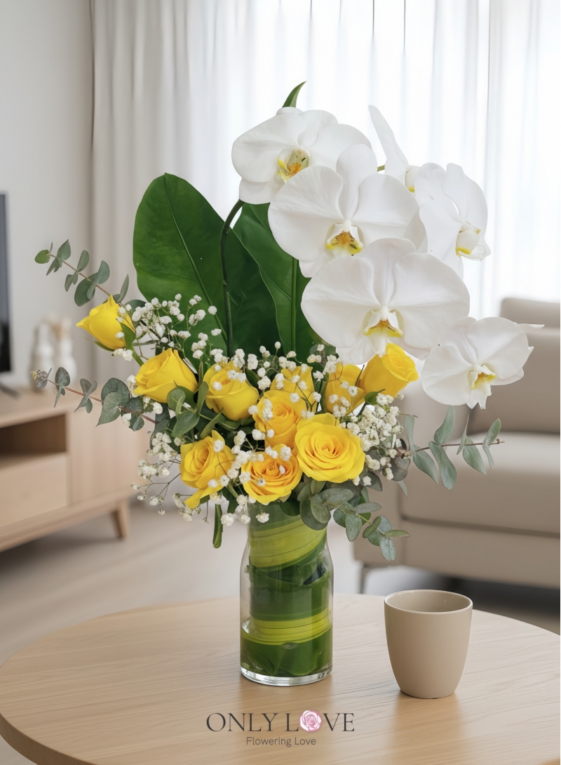 V31 Phalaenopsis in Vase (Fresh Cut)